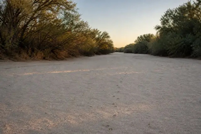 Dry sandy bed of the Hassayampa River between mesquite banks at golden hour