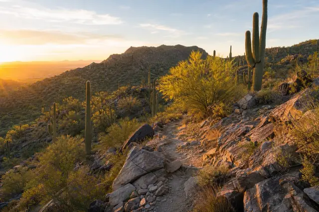 Sunrise on the saguaro-covered bajada of the White Tank Mountains above Buckeye