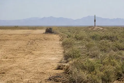 Skid-steer brush cutter working a wide creosote flat near Buckeye, half cleared to pale soil and half still gray-green scrub