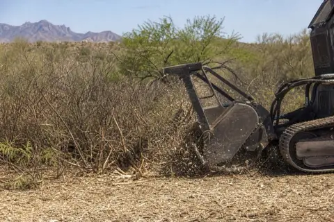 Mulcher head grinding through a dense mesquite thicket at a desert wash edge near Buckeye with the White Tank Mountains hazy behind