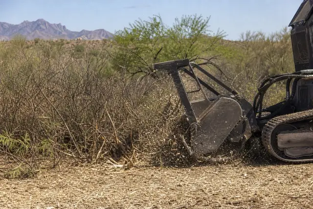 Forestry mulcher grinding a mesquite thicket at a desert wash edge with palo verde standing beyond
